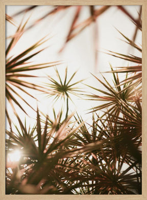 Starlight Palm Tree Poster