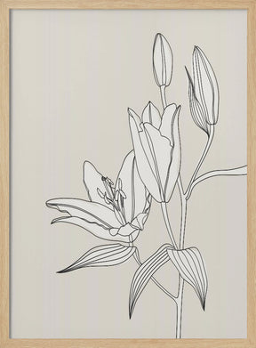 Line art lillies in beige Poster