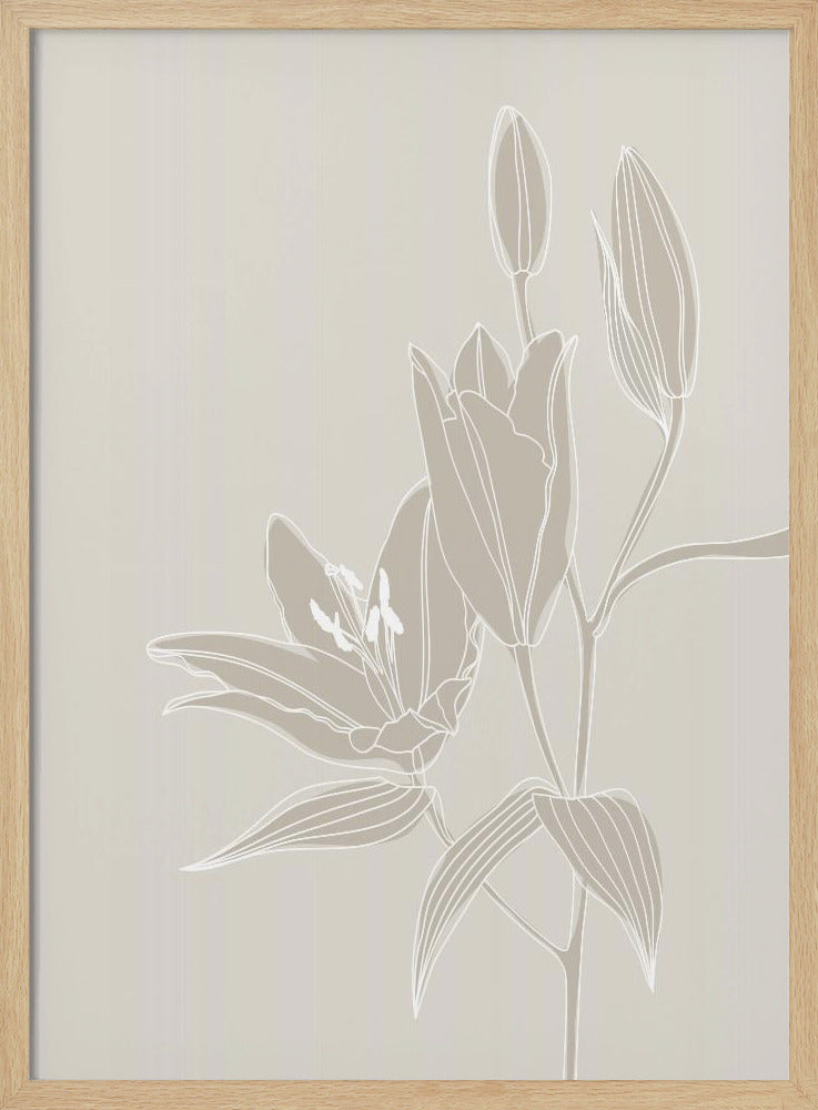 Line art lillies in white Poster