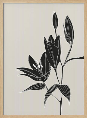 Line art lillies in black Poster