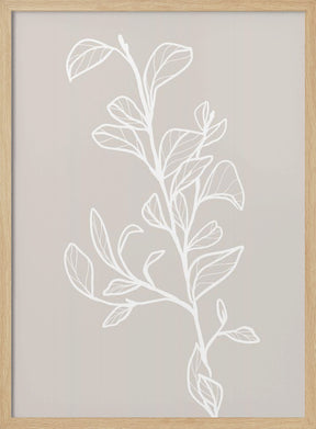 Garran branch with leaves in beige Poster