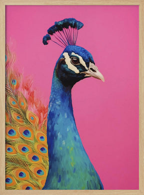 Beautiful Peacock Poster