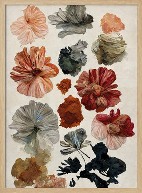 Dry Flower Collection Poster