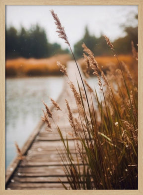 By The Lake Poster