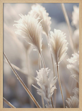 Pastel Nature Macro No 9 Poster