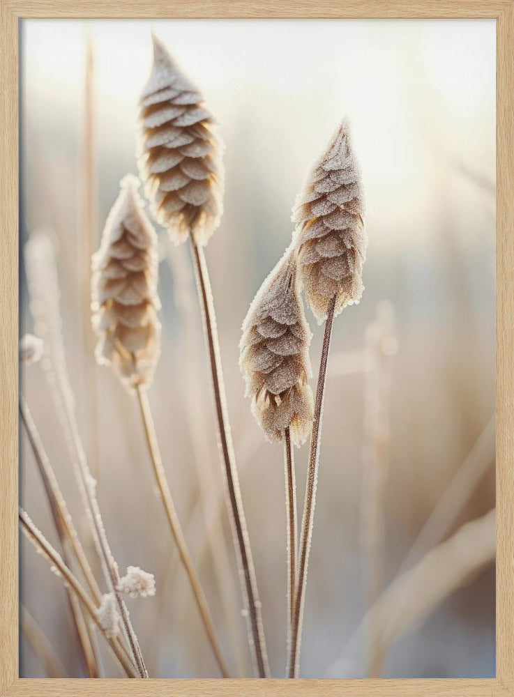 Pastel Nature Macro No 8 Poster