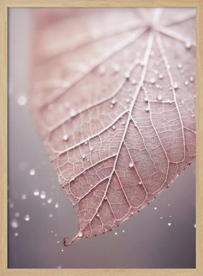 Rosy Leaf Poster