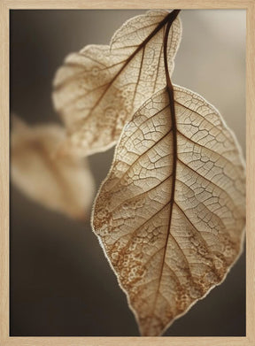 Leaf Macro Poster