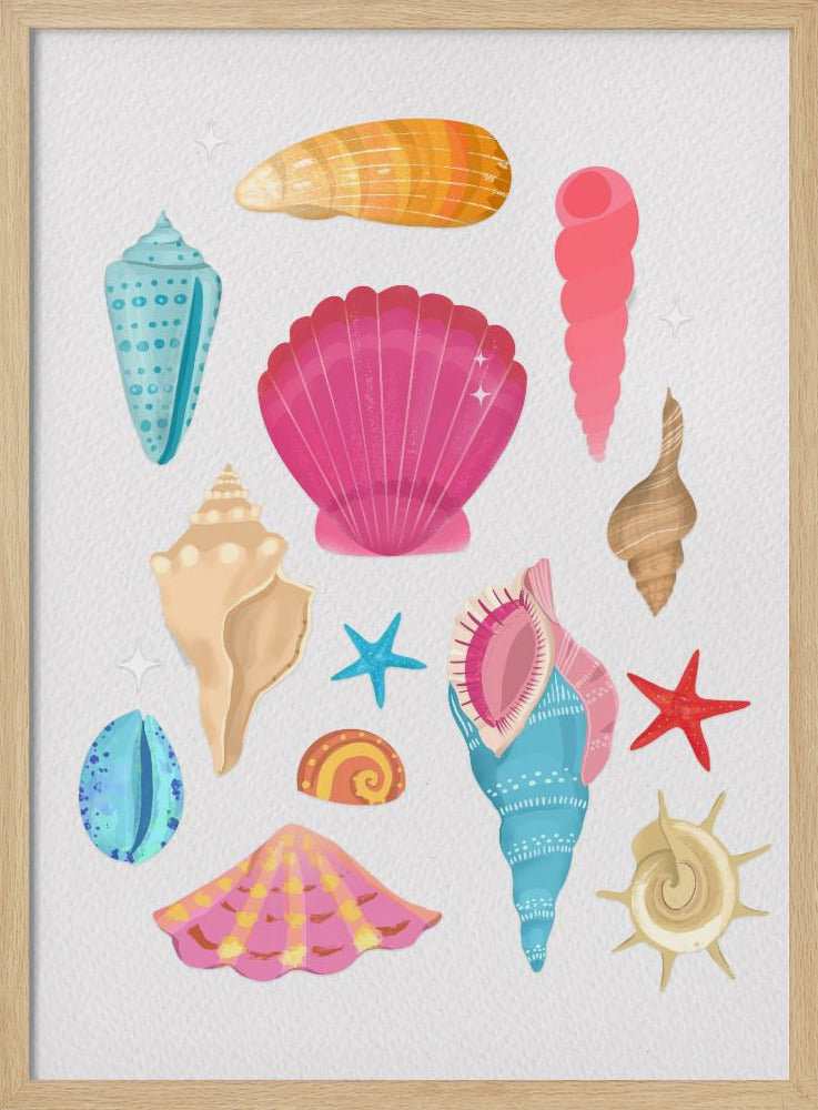 Seashells Poster