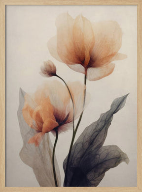 Parchment Flowers No 6 Poster