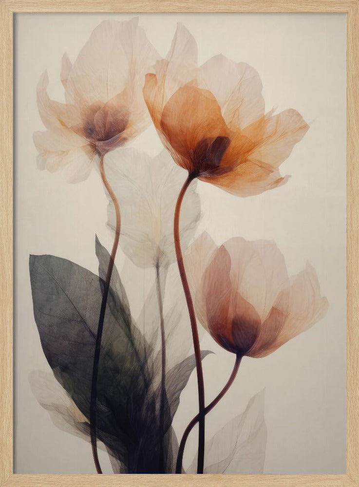 Parchment Flowers No 7 Poster