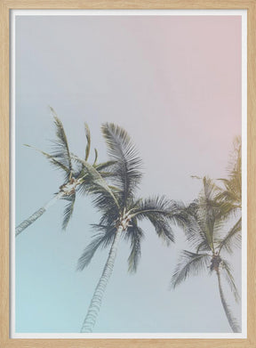 Pastel Palms Poster