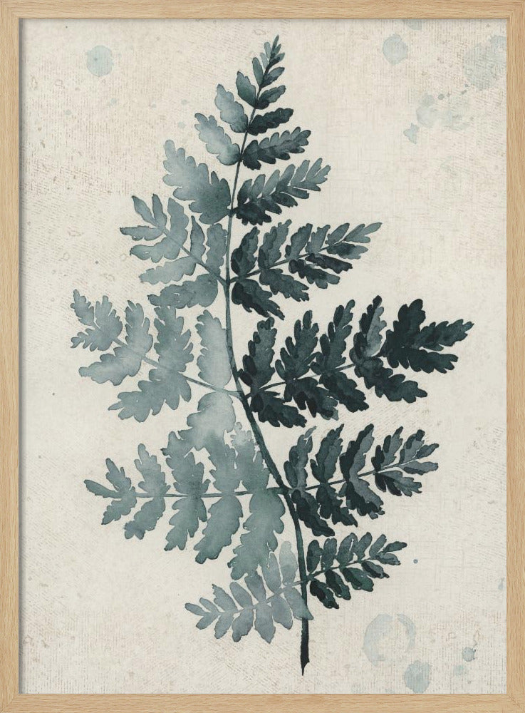 Teal watercolor fern 2 Poster