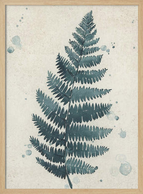 Teal watercolor fern 3 Poster