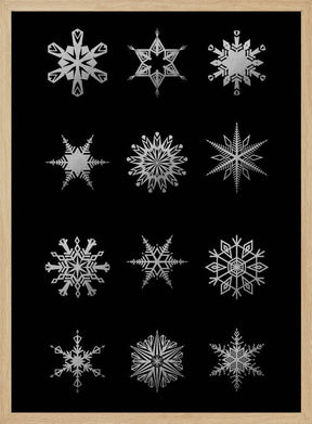 Twelve geometric snowflakes in black Poster