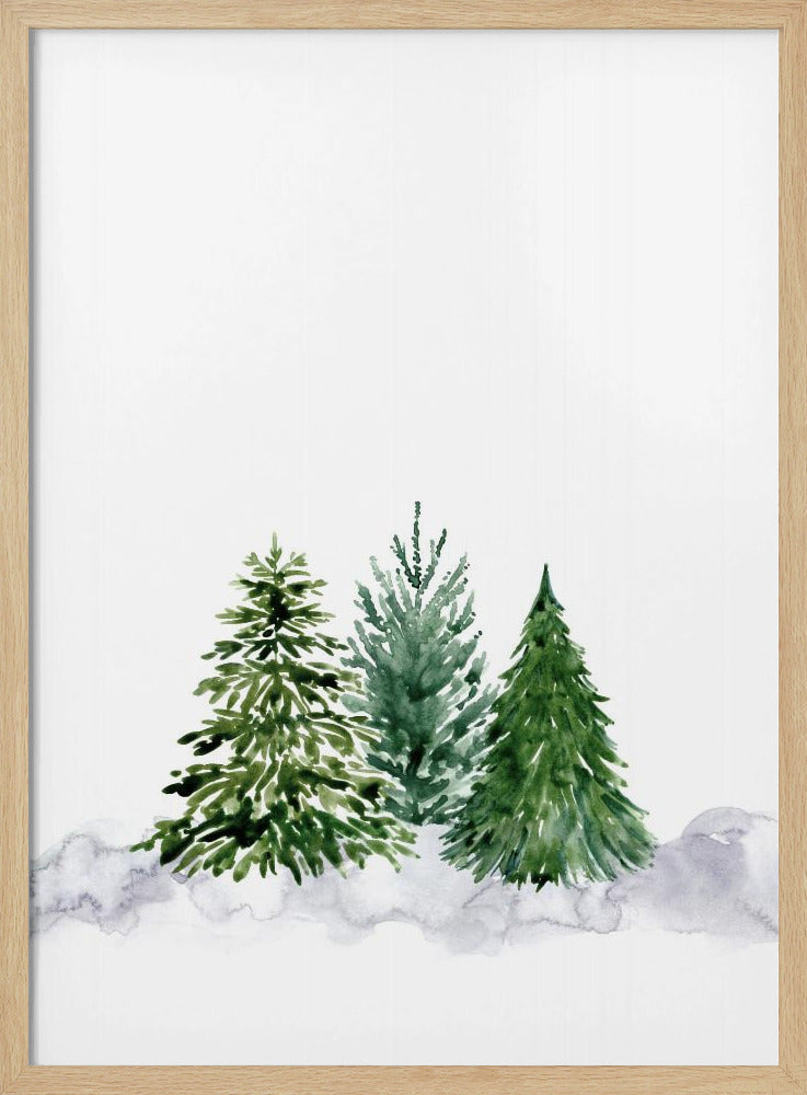 Three watercolor pine trees Poster