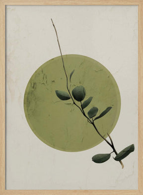 Green Twig Nov2 Poster