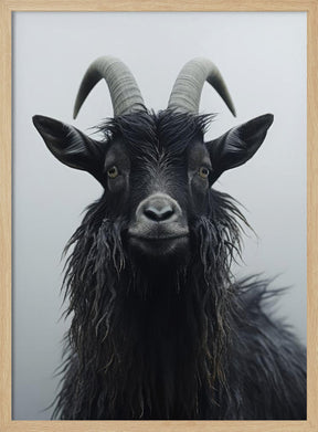 Mountain Goat Poster