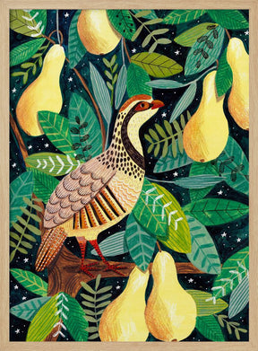 Partridge in a pear tree Poster