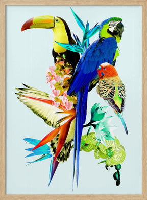 Birds of Paradise II Poster