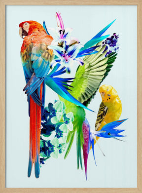 Birds of Paradise I Poster