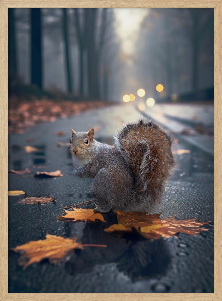 AutumnSquirrel Poster