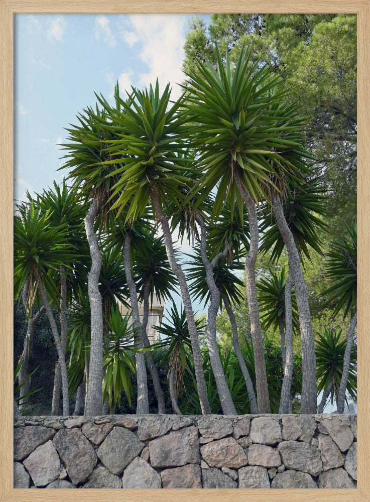 Palm trees on Ibiza Poster