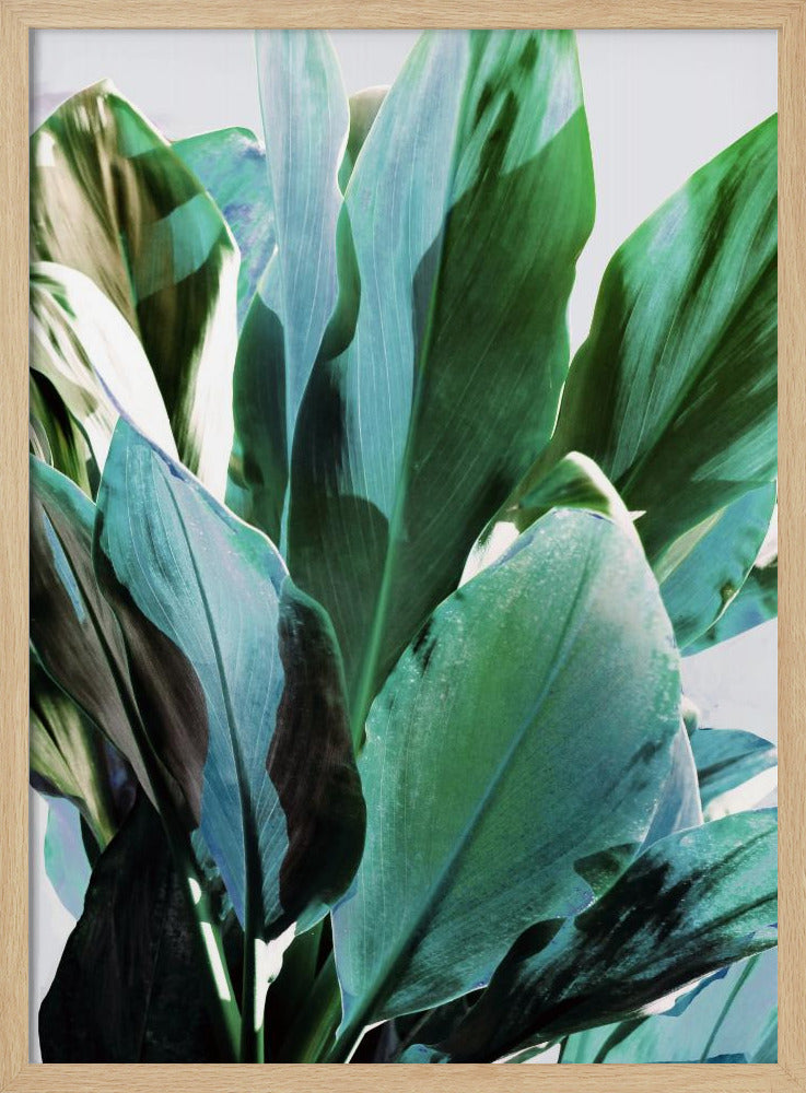 Green Leaves I Poster