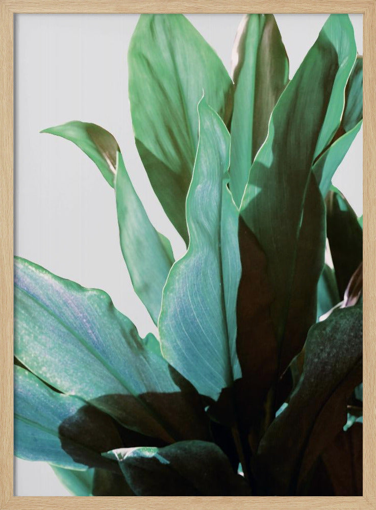 Green Leaves Poster