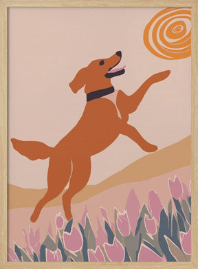 Frisbee Dog Poster