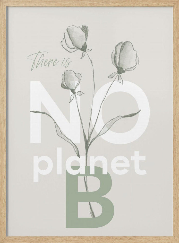 There is no planet B Poster