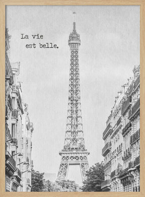 PARIS La vie est belle Poster