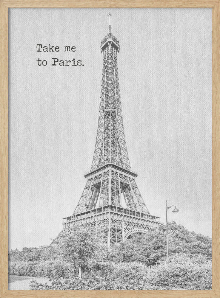 Take me to Paris Poster