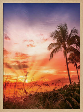 BONITA BEACH Picturesque Sunset Poster