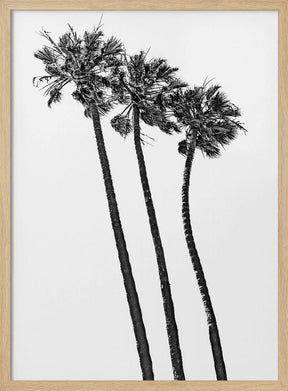 Summer idyll with palm trees Poster