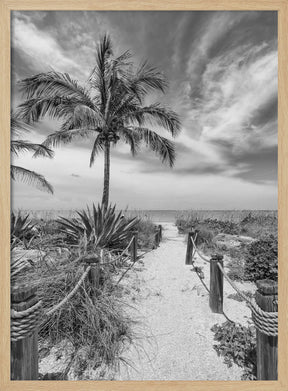 Path to the beach - monochrome Poster