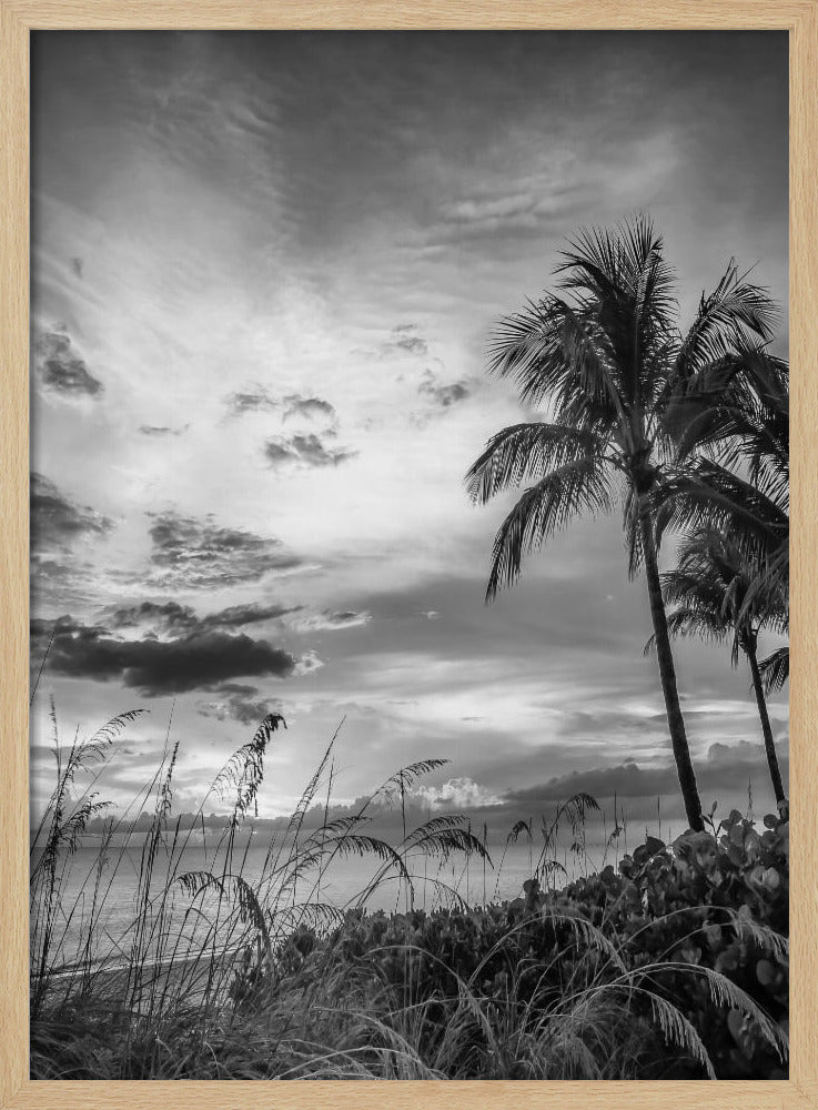 BONITA BEACH Evening mood | monochrome Poster