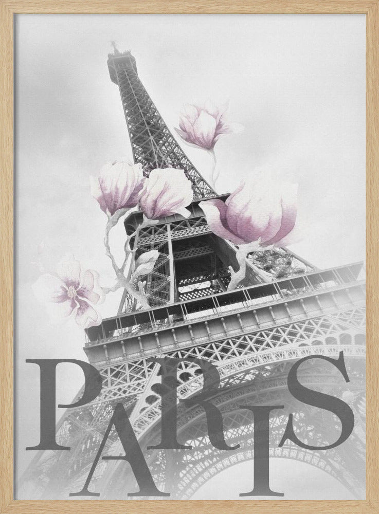 PARIS Magnolia Eiffel Tower Poster