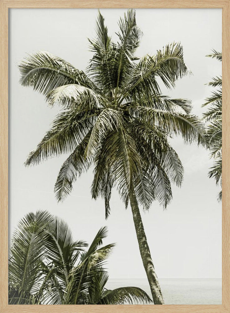 Palm Trees by the ocean | Vintage Poster