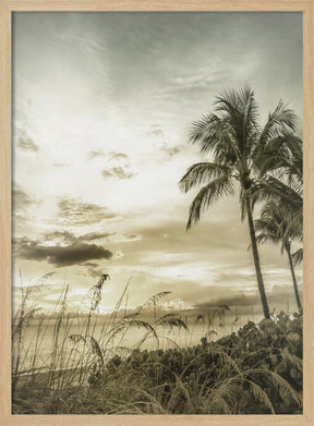 BONITA BEACH Vintage Sunset Poster