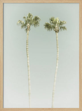 Minimalist Palm Trees Poster