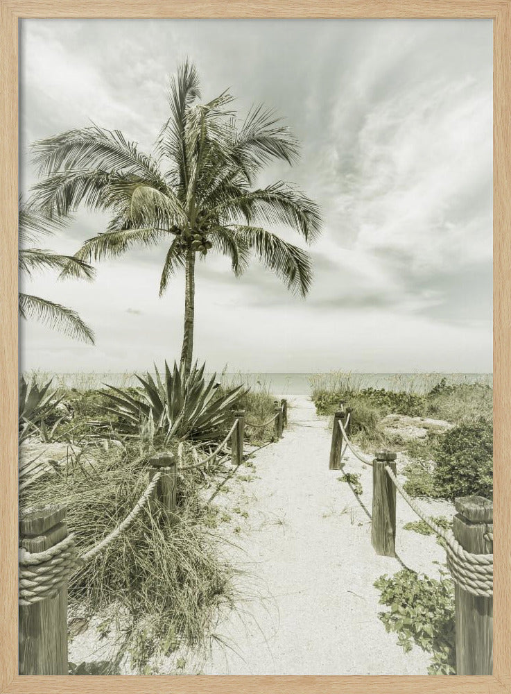 Vintage path to the beach Poster
