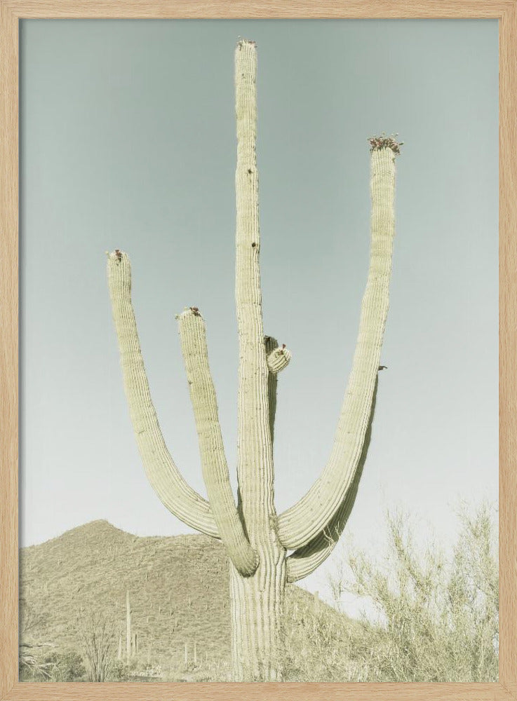 SAGUARO NATIONAL PARK Vintage Giant Saguaro Poster