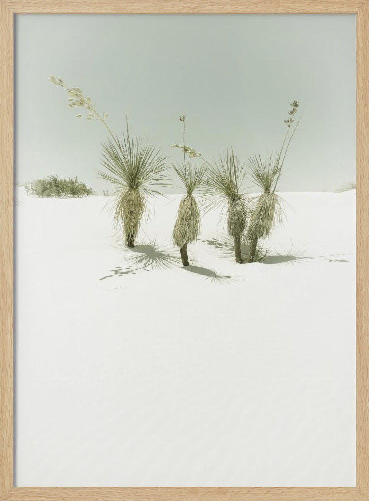 WHITE SANDS Vintage scenery Poster