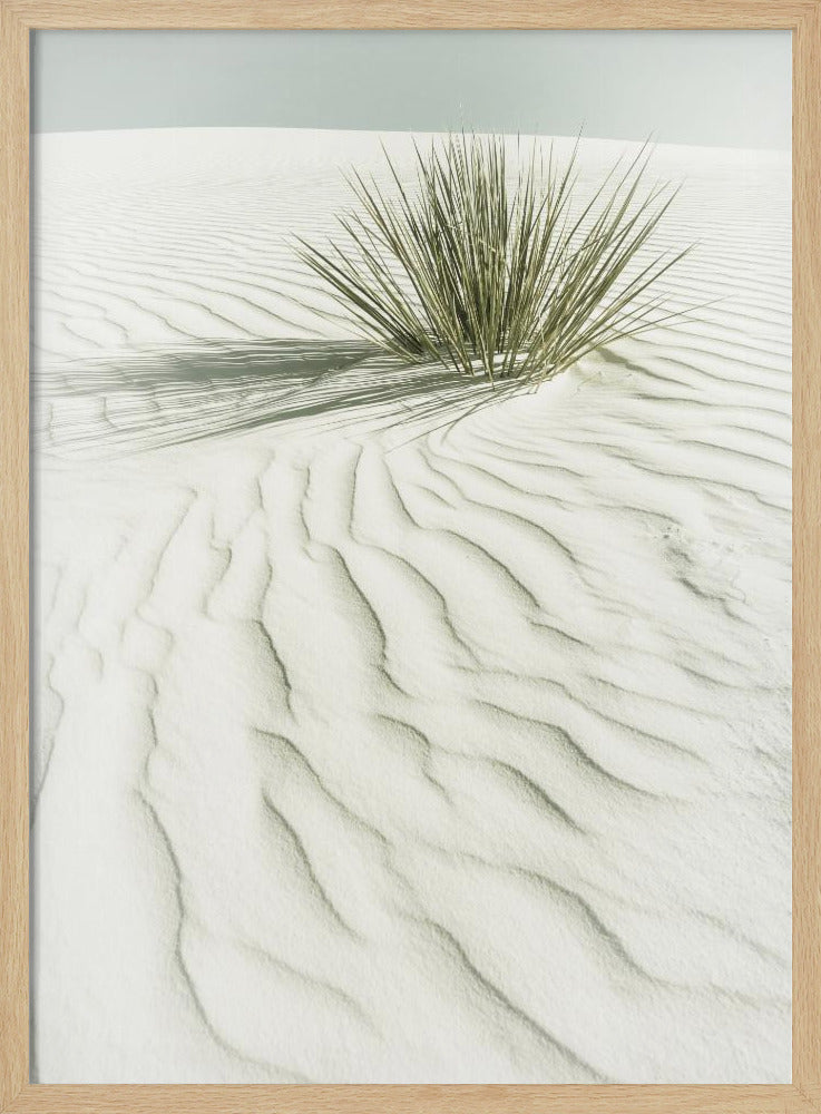 WHITE SANDS Idyllic vintage scenery Poster