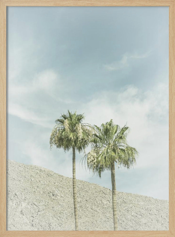 Vintage Palm Trees in the desert Poster
