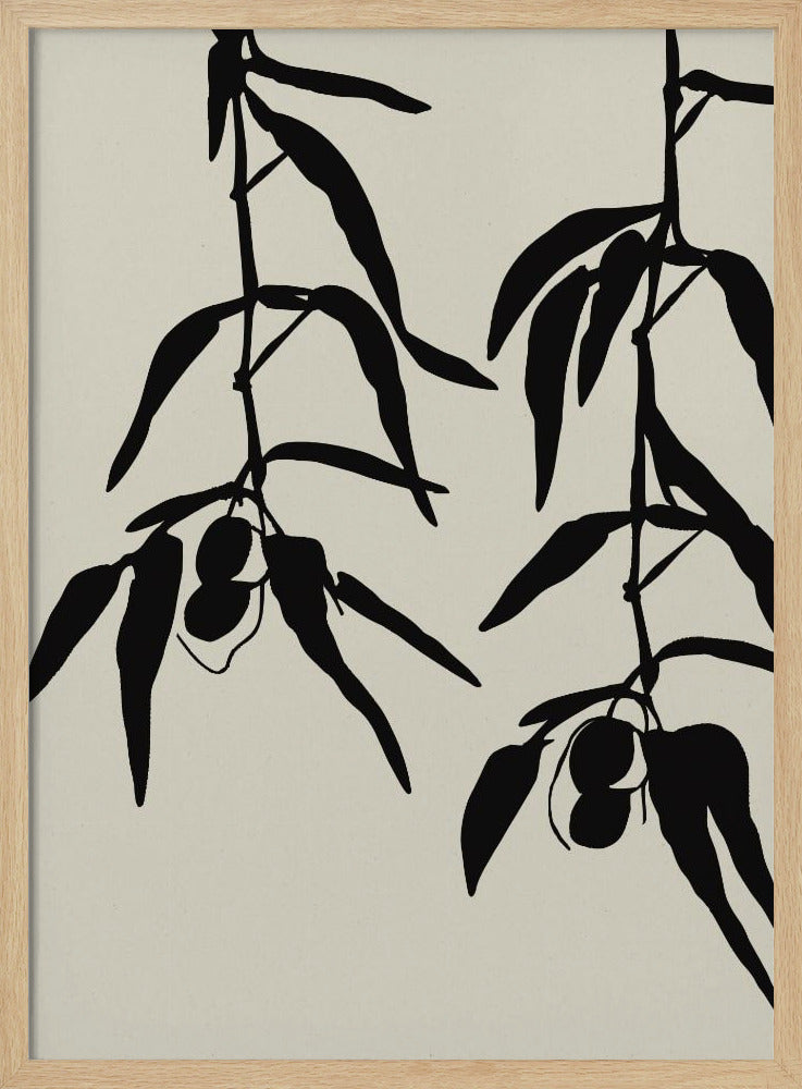 Olive twigs Poster