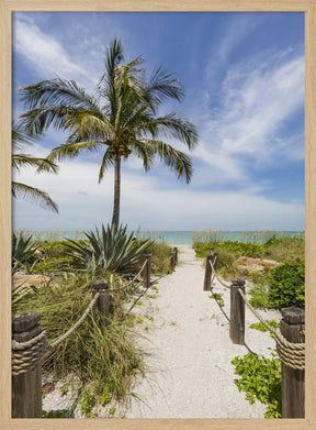 Path to the beach Poster