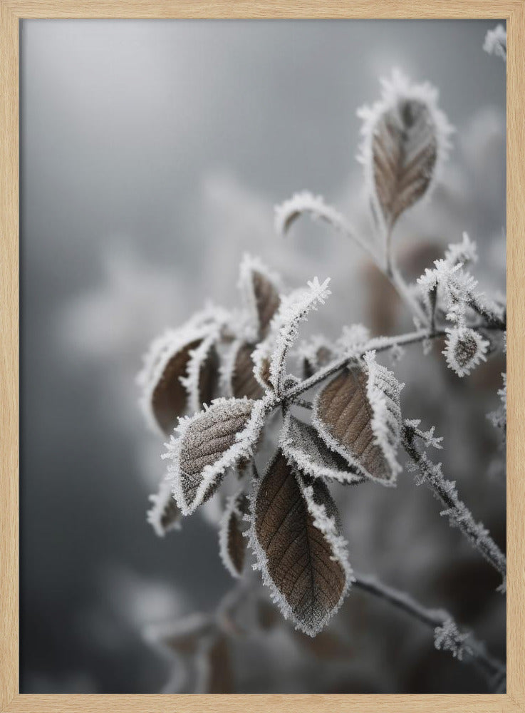 Frozennature Poster