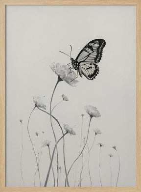 Butterfly and Flowers Poster